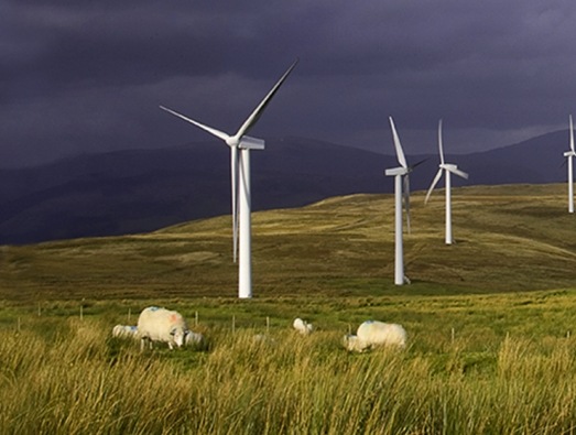 乡村风力涡轮机的图片