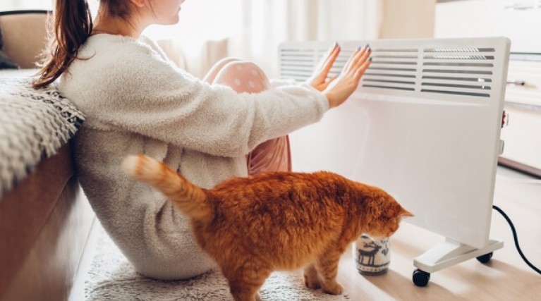 女士和猫用电加热器变暖